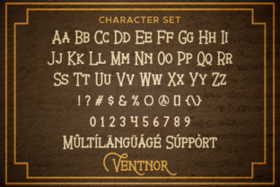 Ventnor Display Font By CalligraphyFonts 3