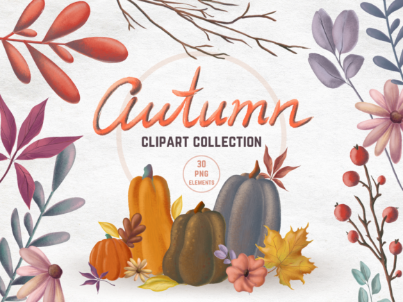 Autumn Pumpkins Clipart Collection Gráfico Ilustraciones Imprimibles Por Ally Artshop