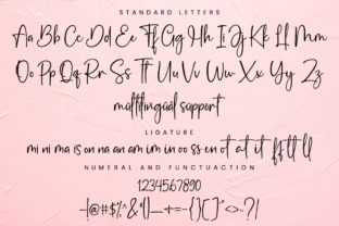 Pink Pastel Script & Handwritten Font By RasdiType 14