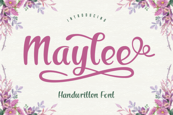 Maylee Script & Handwritten Font By Creative Fabrica Fonts