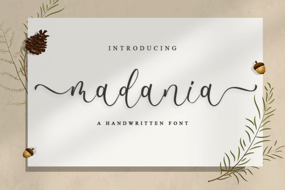 Madania Script & Handwritten Font By fanastudio