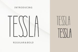 Tessla Sans Serif Font By Pidco.art 1