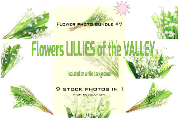 Lilly of the Valley. Bundle #7 Grafik Natur Von Vapi