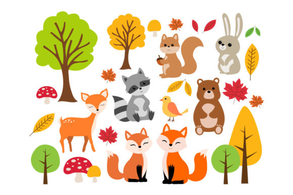 Forest Animals Graphic Illustrations By FoxBrother