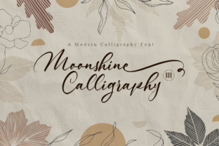 Moonshine Calligraphy Script Fonts Font Door colllabstudio 1