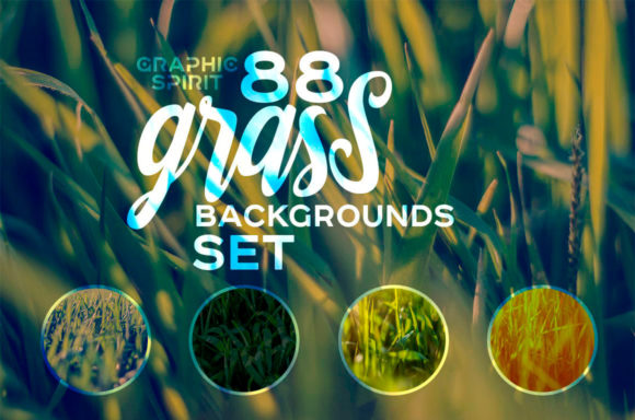 Natural HD Grass Backgrounds Graphic Backgrounds By Graphic Spirit