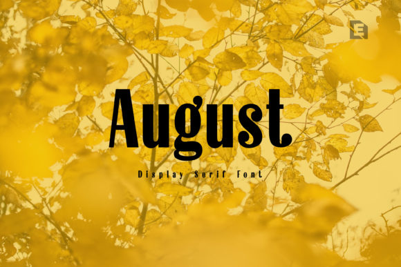 August Display Font By Design Stag