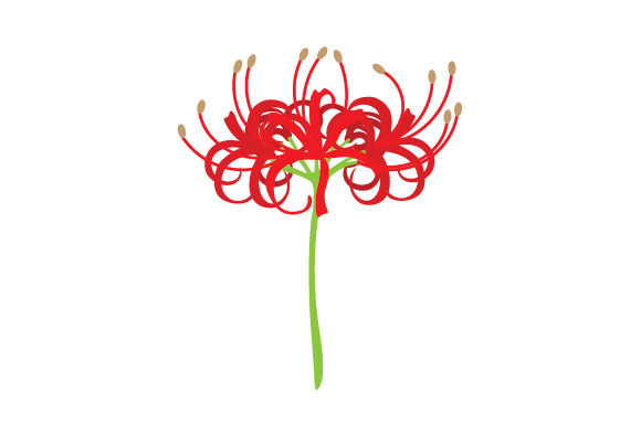 Red Spider Lily Natur Craft-Schnittdatei Von Creative Fabrica Crafts