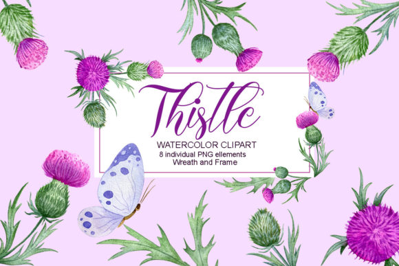 Thistle Watercolor Clipart, Floral Frame Graphic Illustrations By NoviArt