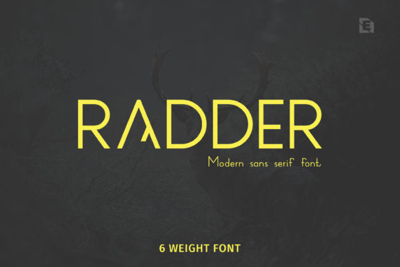 Radder Sans Serif Font By Design Stag