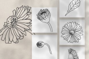 Daisy Clipart Graphic Illustrations By FlipLineArt 4