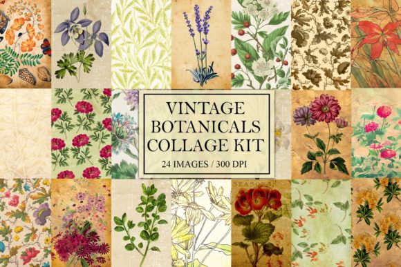 Vintage Botanical Collage Kit Afbeelding Afdrukbare Illustraties Door Digital Attic Studio