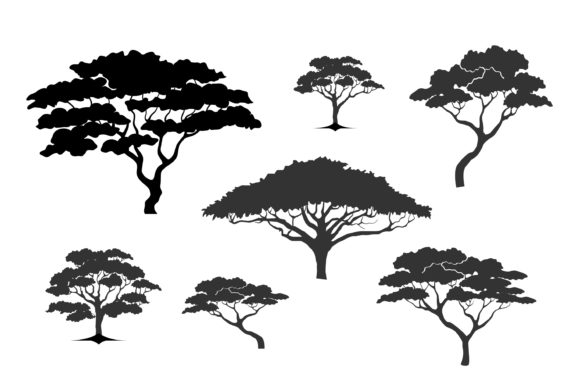 Collection Acacia Tree Icon Silhouette Graphic Objects By kareemov1000