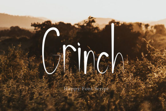 Grinch Script & Handwritten Font By Roni Studio