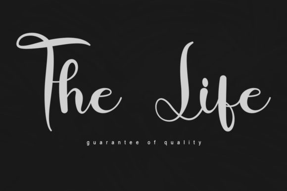 The Life Script & Handwritten Font By fahmistudio99