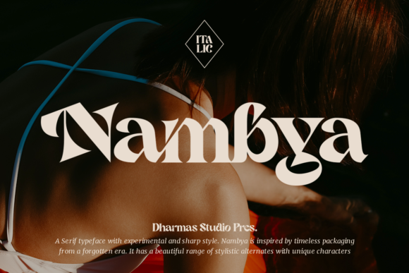 Nambya Font Serif Font By Dharmas Studio