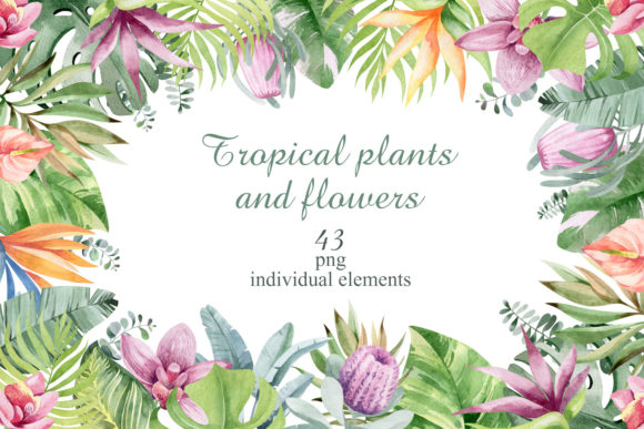 Tropical Flowers and Plants Set Illustration Illustrations Imprimables Par baturae7112