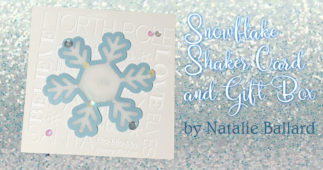 Shaker Card and Gift Box