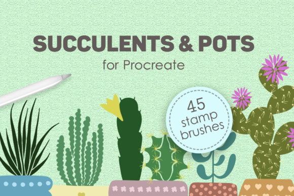 Succulents and Pots Stamp Brushes Illustration Pinceaux Par SassyDesign