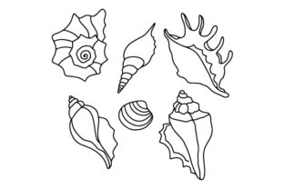 Sea Shells Coloring Page Nature & Outdoors File creazione per il taglio Di Creative Fabrica Crafts