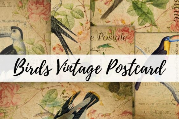 Birds Vintage Postcards Digital Paper Grafik Papier-Muster Von designxmuskan