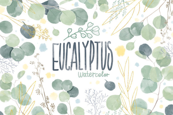Eucalyptus Plant. Watercolor Clipart. Graphic Illustrations By NKTKNS