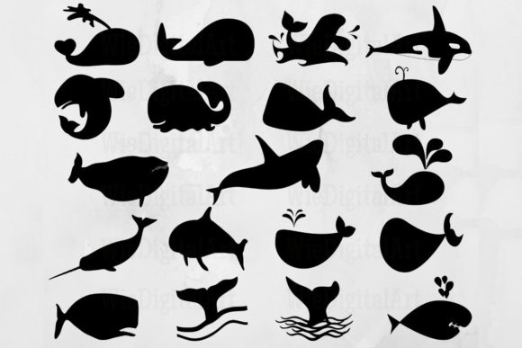 Whale Graphic Illustrations By WieDigitalArt
