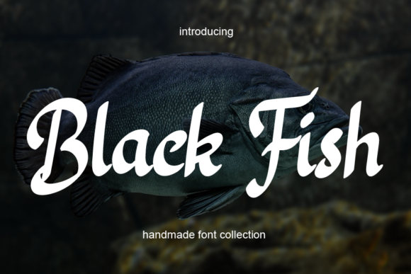 Black Fish Script & Handwritten Font By AA studio