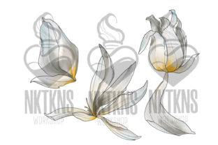 Watercolor Floral Clipart. Tulip Clipart Graphic Illustrations By NKTKNS 4