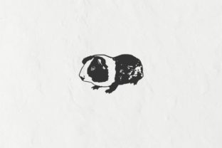 Guinea Pig Vintage Illustration Vector Graphic Illustrations By Raw Materials Design 2