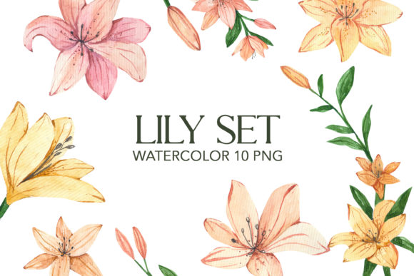 Lilies Watercolor Clipart PNG Afbeelding Afdrukbare Illustraties Door Julia Bogdan