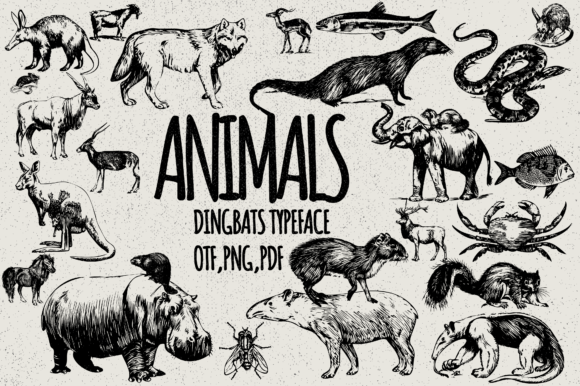 Animals Dingbats Font By Minimalistartstudio
