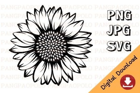 Sunflower SVG Graphic Illustrations By PANGPAOPOLO