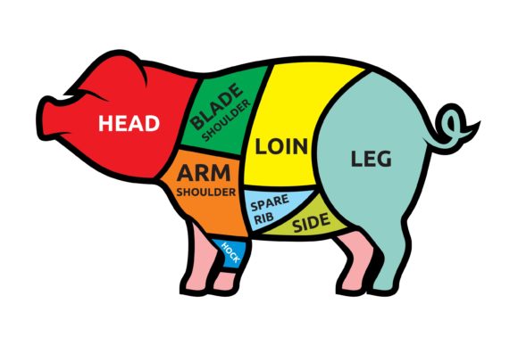 Pork Meat Cuts Vector Illustration Gráfico Ilustraciones Imprimibles Por rasol.designstudio