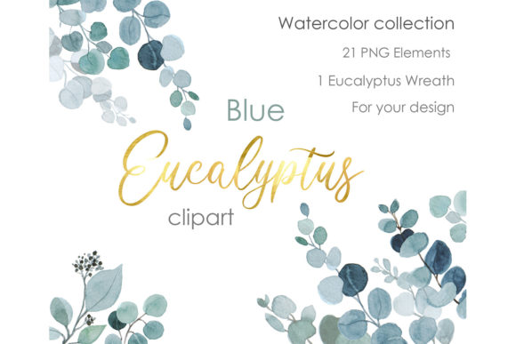 Eucalyptus Leaves Clipart Watercolor Png Grafica Illustrazioni Stampabili Di KomtsyanTatyanaArt