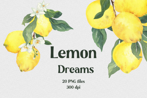 Lemon Dreams Watercolor Citrus Clipart Illustration Illustrations Imprimables Par Catch the Dream Art