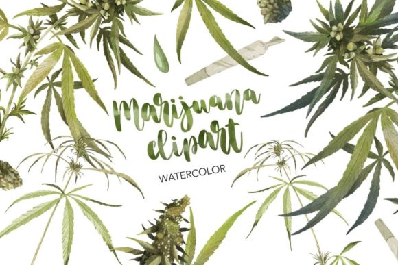 Watercolor Cannabis Clipart. Marijuana Graphic Illustrations By NKTKNS