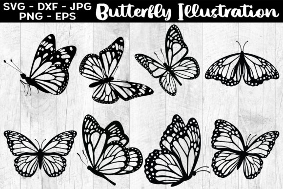 Butterfly Illustration Butterfly SVG EPS Gráfico Manualidades Por Aleksa Popovic