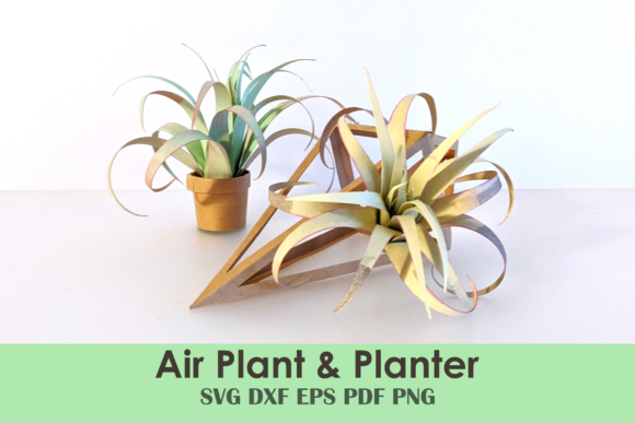 Air Plant & Geometric Planter Template Afbeelding 3D-SVG Door Hey JB Design