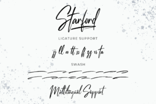Starford Handwriting Brush Script & Handwritten Font By fontkong 7
