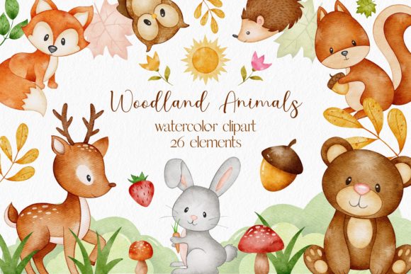 Woodland Animals Watercolor Clipart Graphic Illustrations By LuiDesignStudio