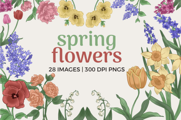 Spring Flower Illustrations Gráfico Ilustrações para Impressão Por theclipatelier