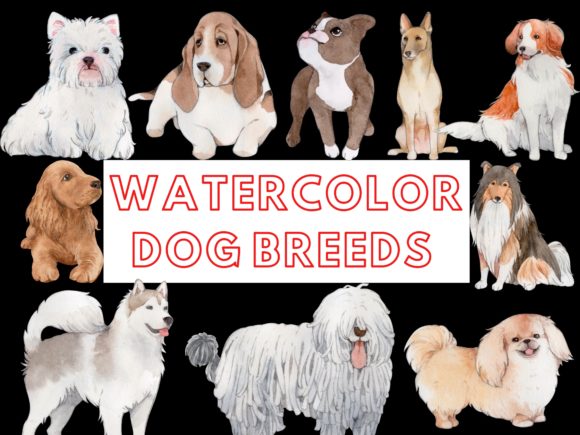 Watercolor Cute DOG Breeds Grafik Druckbare Illustrationen Von designfly