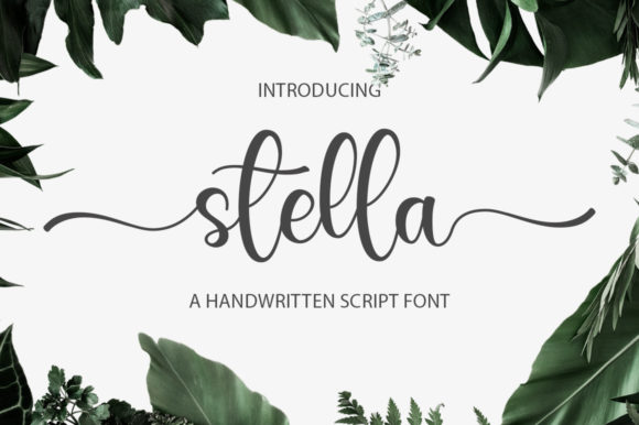 Stella Script & Handwritten Font By Nirmala Creative