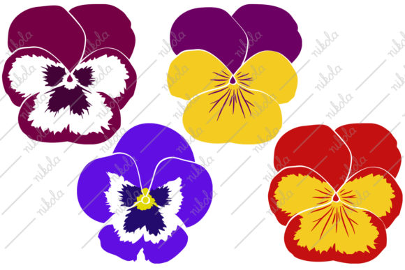 Pansy Clipart Pansies Cricut Graphic Illustrations By nikola
