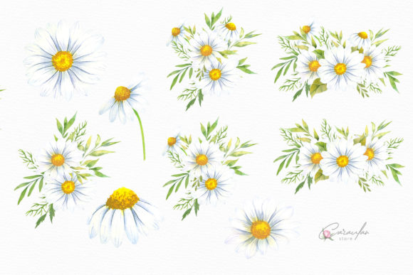 Watercolor Daisies Bouquets Clipart Graphic Illustrations By CaraulanStore