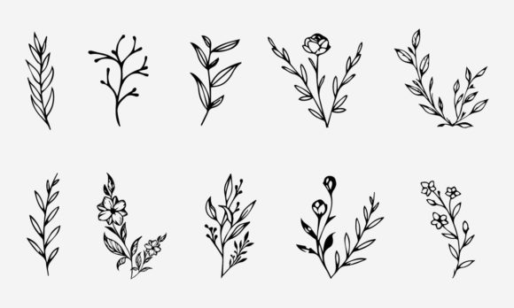 Flower Line Drawing Vector Illustration Graphic Illustrations By pixeness