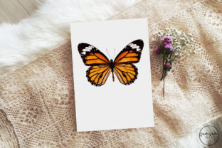 Monarch Butterfly PNG Sublimation Gráfico Artesanato Por Samsam Art 5