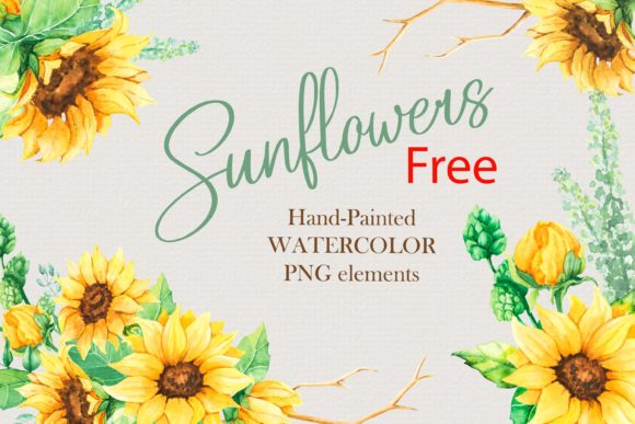 Watercolor Sunflowers Bouquets Graphic Illustrations By karibyan-o