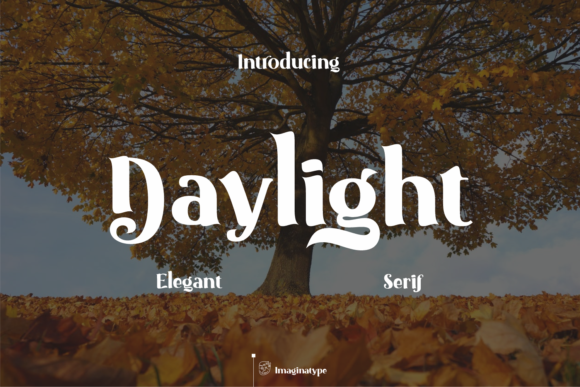 Daylight Serif Font By nryntdw